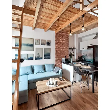 Starolecka With Mezzanine شقة *