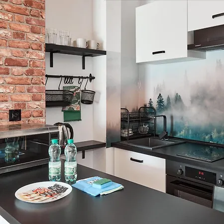 Starolecka With Mezzanine Poznaň