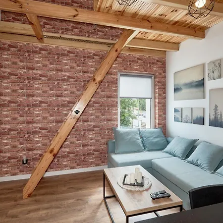 Starolecka With Mezzanine * Poznaň